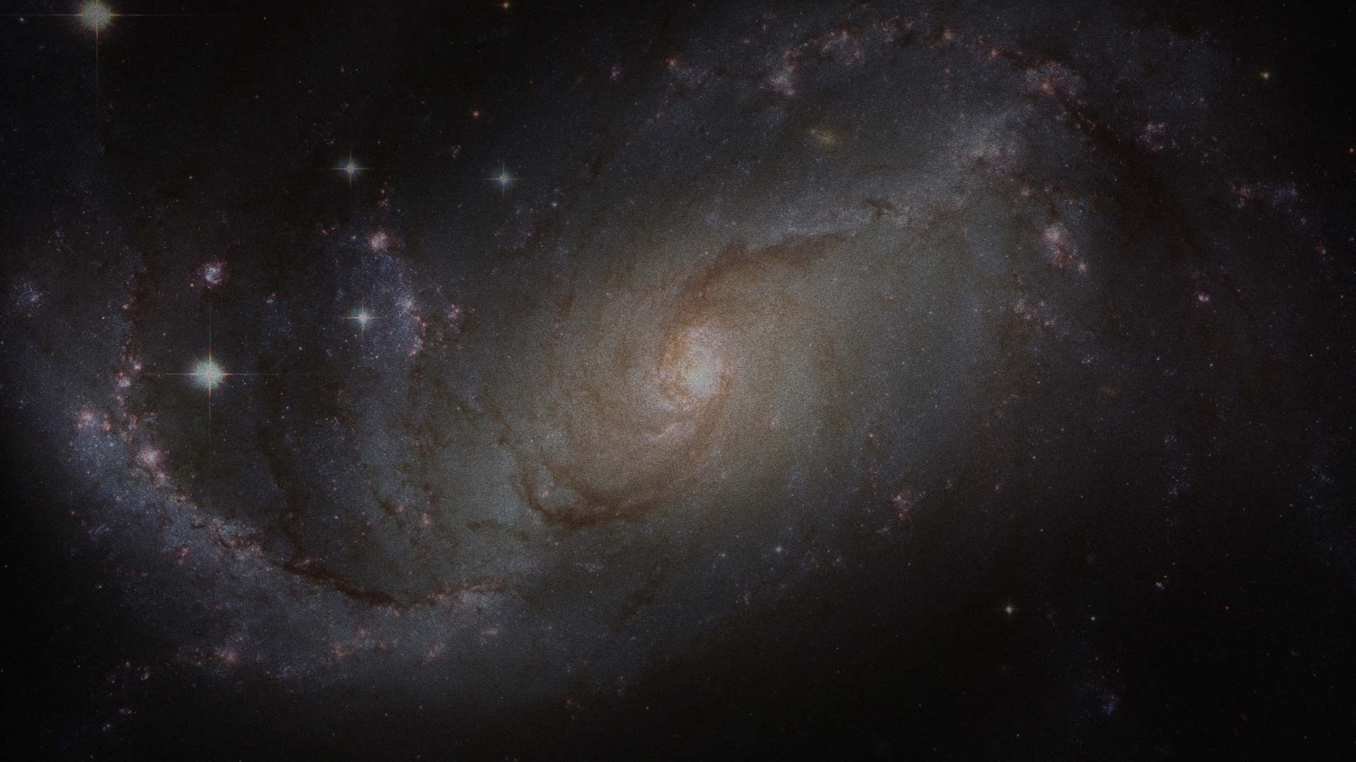 starsbg 3.jpg